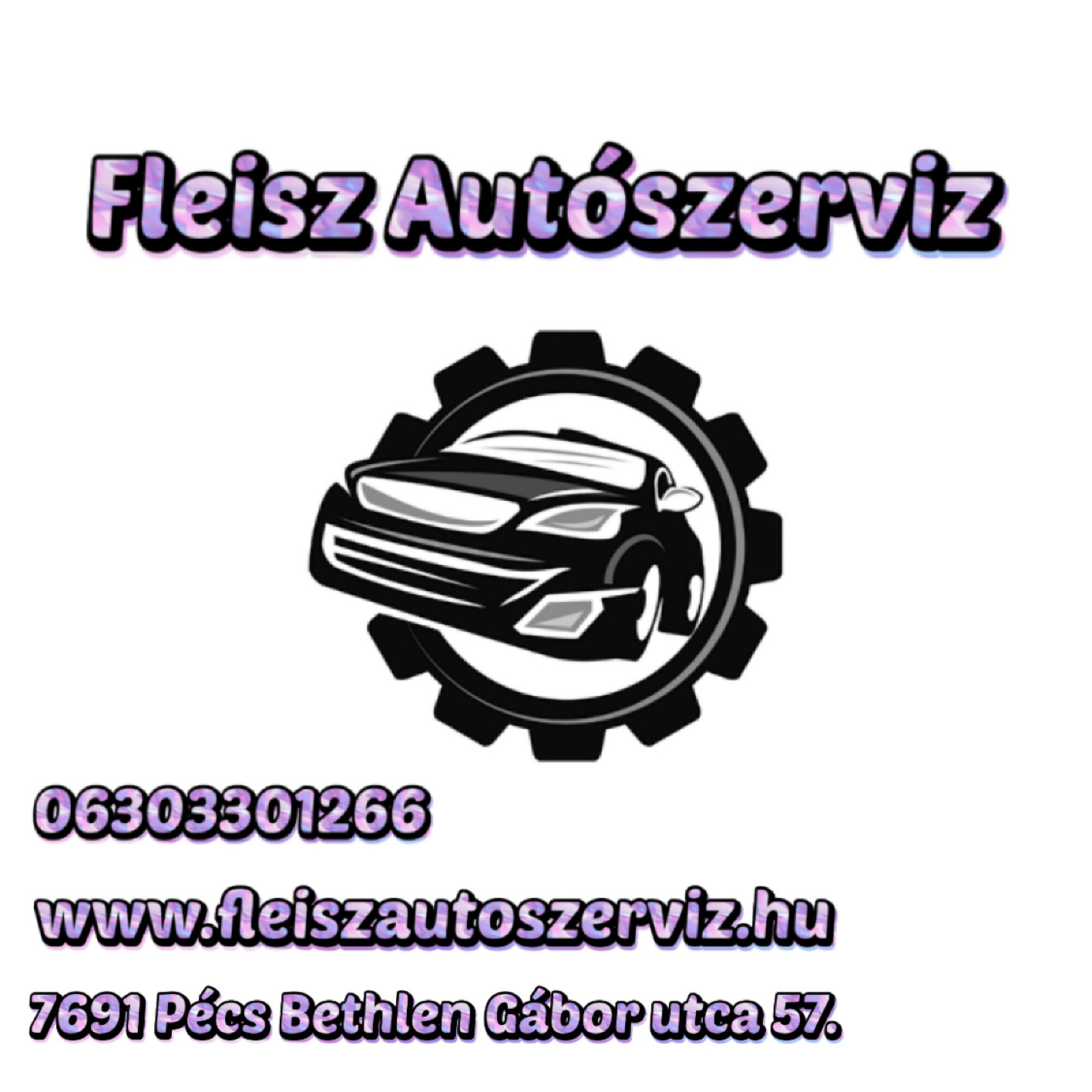 Fleisz Aut&oacute;szerviz